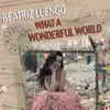 Stream & download What a Wonderful World - Single