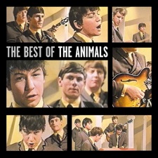 House Of The Rising Sun artwork