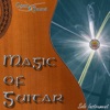 Magic of Guitar artwork