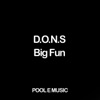 D.O.N.S. - Big Fun (Oldschool Revival Mix)