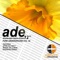 False Feelings (Ahmet Mecnun Remix) - Baris & Burak lyrics