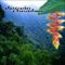 Amazon Rainforest Daytime - Darwin Chamber lyrics