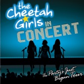 The Cheetah Girls In Concert - The Party's Just Begun Tour (Live) artwork