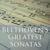 Ludwig Beethoven - Sonata Pathetique Mvmt. II