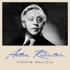 Chopin Waltz artwork