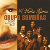 La Mala Gata artwork