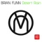 Desert Rain (Original Mix) - Brian Flinn lyrics