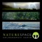 EO Forest Rain Lake - Naturespace Holographic Audio lyrics