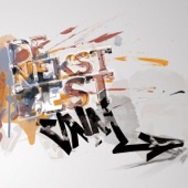 De Nekst Best artwork