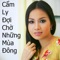 Nỗi Buồn Mẹ Tôi - Cẩm Ly lyrics