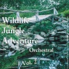 Wildlife, Jungle, Adventure: Orchestral - Vol. 2 artwork