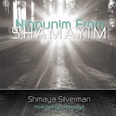 Niggunim From Shamayim artwork