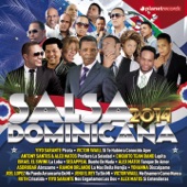 Salsa Dominicana 2014 artwork