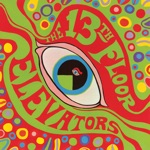 13th Floor Elevators - You Don't Know (Stereo LP Version)
