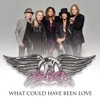 What Could Have Been Love - Single, 2012