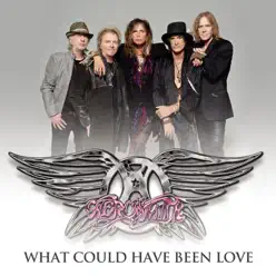 What Could Have Been Love - Single - Aerosmith