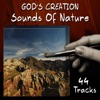 God's Creation - Wildlife (Ten Minutes)