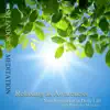 Relaxing as Awareness: Non-Separation in Daily Life, With Bentinho Massaro. album lyrics, reviews, download
