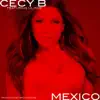 Mexico (feat. Lil Rob) - Single album lyrics, reviews, download