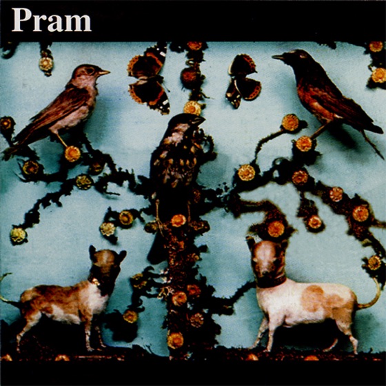 Cover artwork for Cat's Cradle