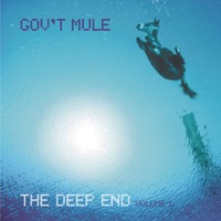 Gov't Mule Ablum Cover