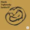 Stream & download Sandra (Aeshi Takeshi Remix)