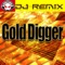Gold Digger - DJ Remix lyrics
