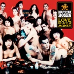 Die Toten Hosen - Wasted Years