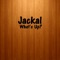 What's Up? (Frenk Dj, Joe Maker Remix) - Jackal lyrics