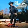 Bo Diddley Is a Gunslinger artwork