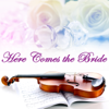 Here Comes the Bride - Here Comes the Bride Strings