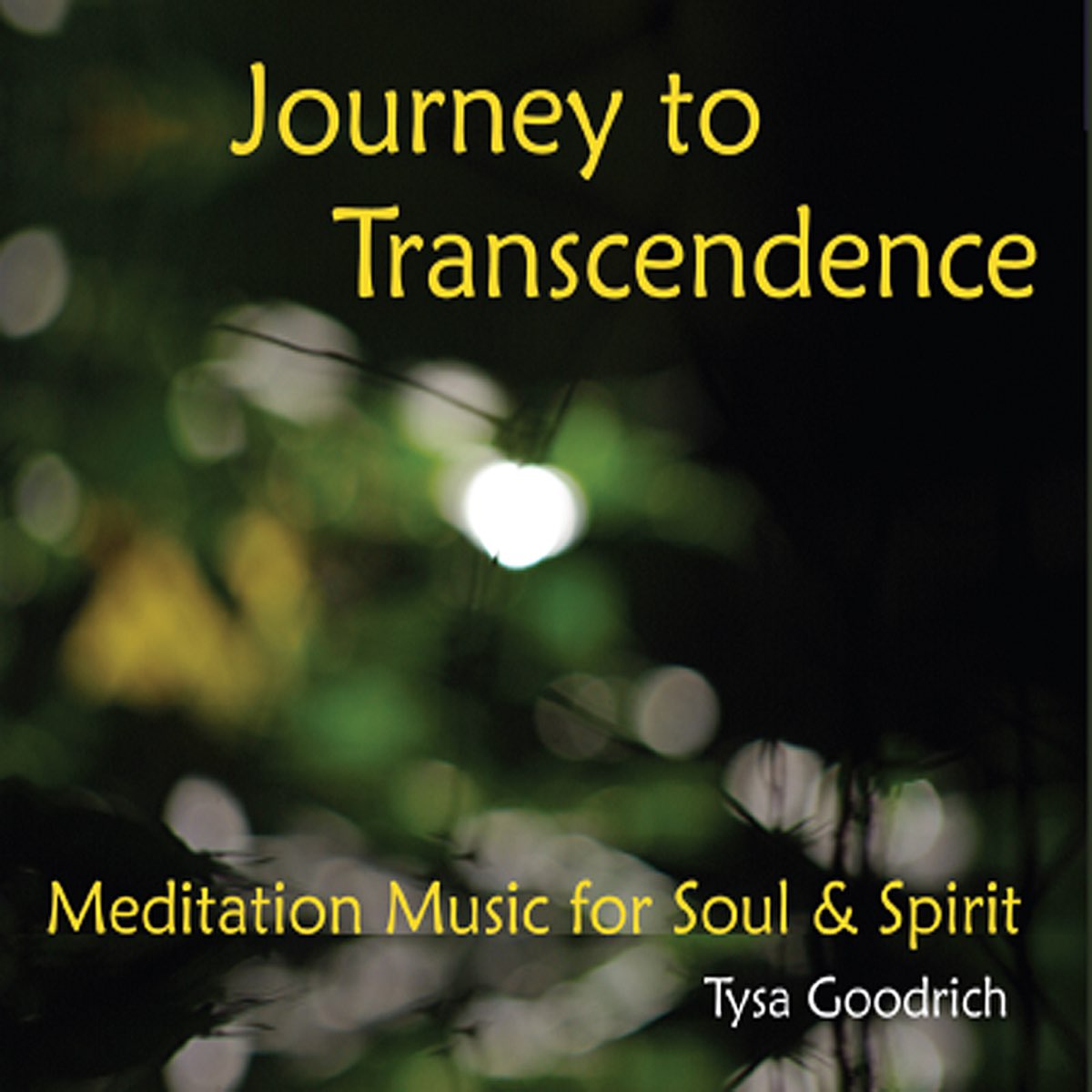 ‎Journey to Transcendence by Tysa Goodrich on iTunes