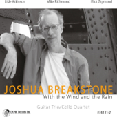 With the Wind and the Rain in Your Hair - Joshua Breakstone