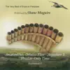 The Very Best of Enya On Panpipes album lyrics, reviews, download
