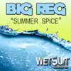 Summer Spice - Single album lyrics, reviews, download