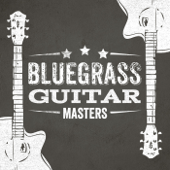 Bluegrass Guitar Masters - Various Artists