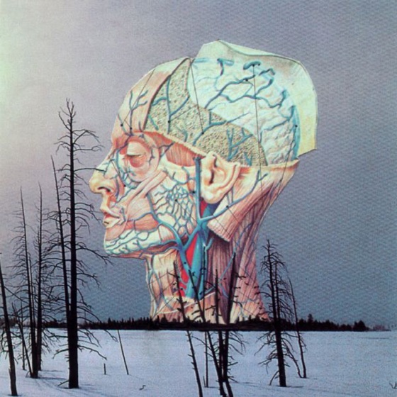 Cover artwork for Landlord