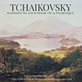 Symphony No. 6 in B Minor, Op. 74: IV.Adagio lamentoso artwork