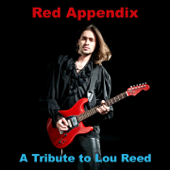 Walk On the Wild Side - Red Appendix