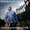 Gates Wide Open, 2013