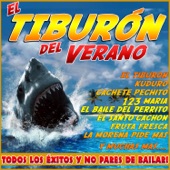 El Tiburón del Verano. Todos los Éxitos y No Pares de Bailar ! artwork