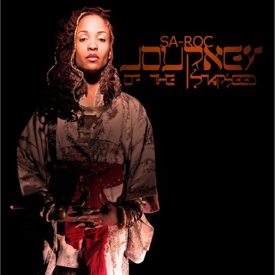 Cover artwork for The Journey