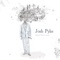 Punch In the Heart (feat. Katy Steele) - Josh Pyke lyrics