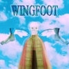 Wingfoot, 2013