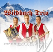 Zwoa Bergschuach und a Lederhos‘n (Version 2013) - Single