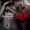 5 a.m. (A Girl Like You) [Egostereo Remix] - Tommie Sunshine lyrics