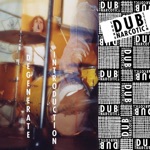 Dub Narcotic Sound System - Joint Joint