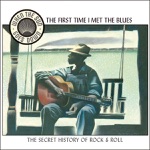When the Sun Goes Down, Vol. 2: The First Time I Met the Blues (Remastered)