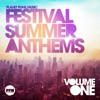 Festival Summer Anthems, Vol. 1, 2013