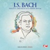 Miklós Spányi - Toccata and Fugue in D Minor, BWV 565